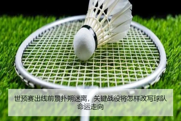 img_1780118118159_48_2_517.jpg